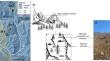 Microsite preferences of three conifers in calcareous and siliceous treeline ecotones in the French alps