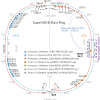 Collimator challenges at SuperKEKB and their countermeasures using nonlinear collimator