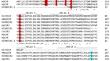 Functional Analysis of the Channelrhodopsin Genes from the Green Algae of the White Sea Basin.