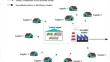 An enhanced multiobjective inventory routing model to meet sustainable goals for assembly supply network under uncertainty