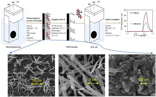 Selective detection of ketamine in human urine samples by electrochemiluminescence sensor based on conductive molecular imprinted polypyrrole: A hydrogen peroxide-free electrochemiluminescence assay