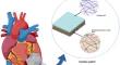 Advancing Myocardial Infarction Treatment: Harnessing Multi-Layered Recellularized Cardiac Patches with Fetal Myocardial Scaffolds and Acellular Amniotic Membrane.