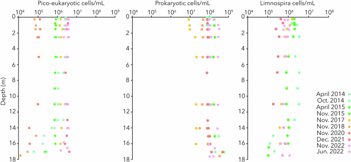 Seismic events as potential drivers of the microbial community structure and evolution in a paleo-ocean analog