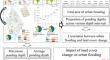 Urban flooding risk assessment based on the impact of land cover spatiotemporal characteristics with hydrodynamic simulation