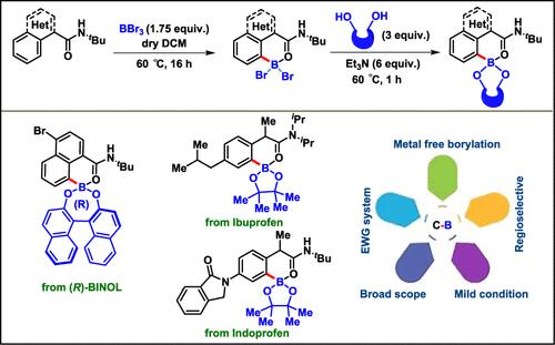 Metal-free Borylation of α-Naphthamides and Phenylacetic Acid Drug