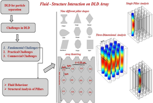 Investigation of fluid–structure interaction of micropillars in a three-dimensional microfluidic DLD array