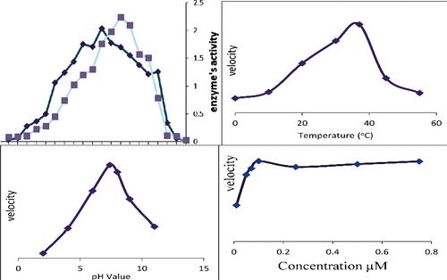 Kinetic Properties of Glutamate Carboxypeptidase II Partially Purified from Leukodystrophy Patient's Serum.