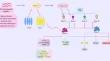 Role of Small Non-Coding RNA in Gram-Negative Bacteria: New Insights and Comprehensive Review of Mechanisms, Functions, and Potential Applications.