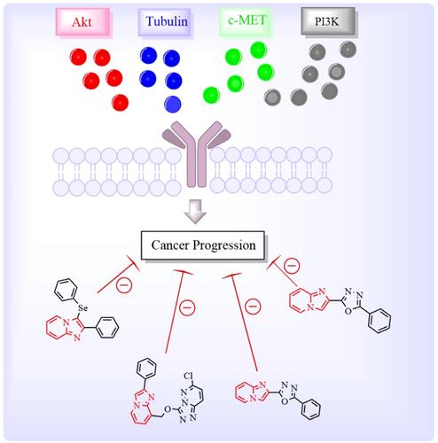 Insights into medicinal attributes of imidazo[1,2-a]pyridine derivatives as anticancer agents.