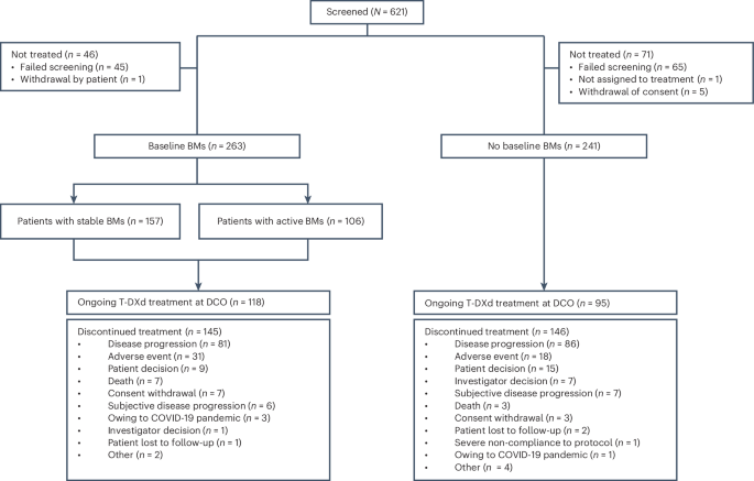 Trastuzumab deruxtecan in HER2-positive advanced breast cancer with or without brain metastases: a phase 3b/4 trial