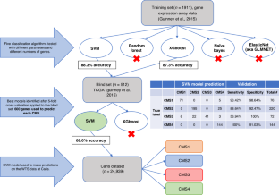 Consensus molecular subtyping of metastatic colorectal cancer expands biomarker-directed therapeutic benefit for patients with CMS1 and CMS2 tumors