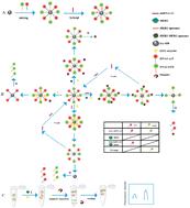 Simultaneous detection of breast cancer biomarkers HER2 and miRNA-212 based on duplex-specific nuclease signal amplification