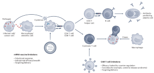 Bottom-up synthetic immunology.