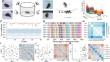 A Machine Learning Approach for Behavioral Recognition of Stress Levels in Mice.