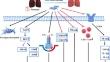 Mesenchymal stem cell-based therapy for paraquat-induced lung injury.