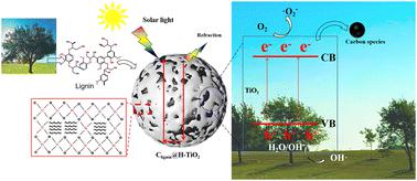 3D structure-functional design of a biomass-derived photocatalyst for antimicrobial efficacy and chemical degradation under ambient conditions.