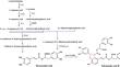 Ag+ ions are effective elicitors for enhancing the production of phenolic acids and tanshinones in Salvia aristata Aucher ex Benth. hairy roots