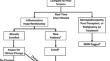 Hyperferritinemia Screening to Aid Identification and Differentiation of Patients with Hyperinflammatory Disorders