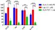 5-Aminolevulinic acid-mediated photodynamic therapy in combination with kinase inhibitor lapatinib enhances glioblastoma cell death.