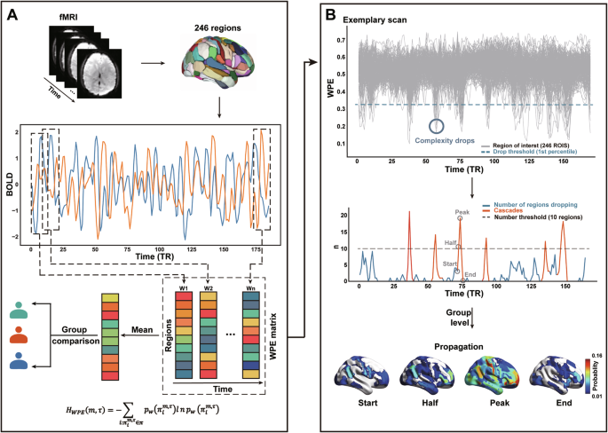 Neuroimaging markers of aberrant brain activity and treatment response in schizophrenia patients based on brain complexity