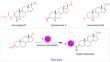 Synthesis, biological activities and mechanistic studies of C<sub>20</sub>-ketone pachysandra alkaloids as anti-hepatocellular carcinoma agents.