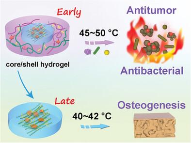 Multiple-Effect Combined Hydrogels: "Temporal Regulation" Treatment of Osteosarcoma-Associated Bone Defects with Switchable Hyperthermia and Bioactive Agents.