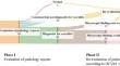 The impact of histopathological criteria for definite vasculitis in giant cell arteritis: retrospective analysis of temporal artery biopsies.