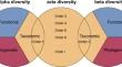 Using alpha, beta, and zeta diversity to map the structure and function of fish community in the central East China Sea