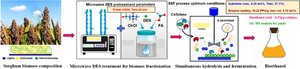 An energy-efficient process for enhanced production of bioethanol from sorghum biomass: a futuristic approach towards circular economy