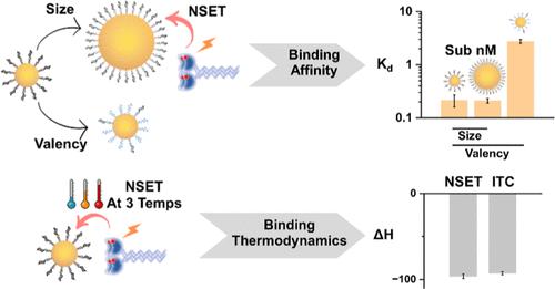 Polyvalent Glycomimetic-Gold Nanoparticles Revealing Critical Roles of Glycan Display on Multivalent Lectin-Glycan Interaction Biophysics and Antiviral Properties.