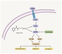 SLL-1A-16 suppresses proliferation and induces autophagy in non-small-cell lung cancer cells <i>via</i> the AKT/mTOR signaling pathway.