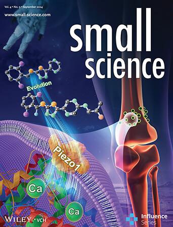 A Novel Piezo1 Agonist Promoting Mesenchymal Stem Cell Proliferation and Osteogenesis to Attenuate Disuse Osteoporosis