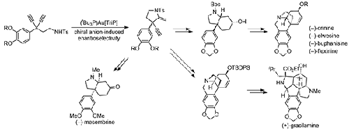 A Comprehensive Approach to C3a-Aryl-Substituted Hydroindole Alkaloids by Utilizing Enantioselective Gold Catalysis