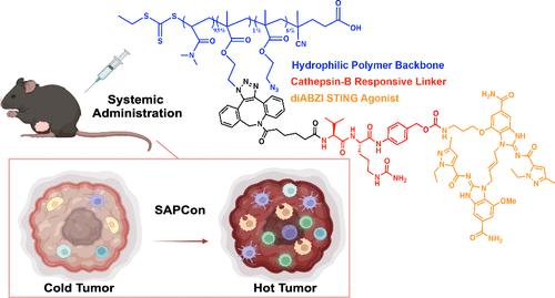 STING-Activating Polymer–Drug Conjugates for Cancer Immunotherapy