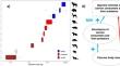 Mechanisms determining the multi-diversity of carrion visiting species along a gradient of carrion body mass