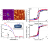 Symmetry-driven large tunneling magnetoresistance in SrRuO3 magnetic tunnel junctions with perpendicular magnetic anisotropy