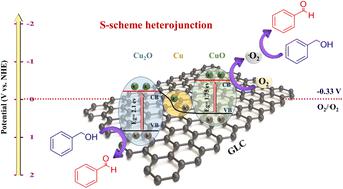 Synergistic atom co-sharing and S-scheme heterojunction: constructing Cu/CuO/Cu<sub>2</sub>O with ultrathin graphene-like carbon derived from basil seeds for enhanced photo-oxidation of benzyl alcohols to aldehydes.