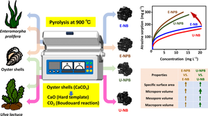 Oyster shell facilitates the green production of nitrogen-doped porous biochar from macroalgae: a case study for removing atrazine from water