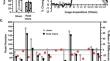 Changes in cerebral vascular reactivity following mild repetitive head injury in awake rats: modeling the human experience.