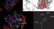 In silico and experimental potentials of 6-shogaol and meglumine antimoniate on Leishmania major: multiple synergistic combinations through modulation of biological properties.