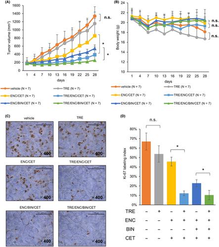 Tretinoin synergistically enhances the antitumor effect of combined BRAF, MEK, and EGFR inhibition in BRAFV600E colorectal cancer