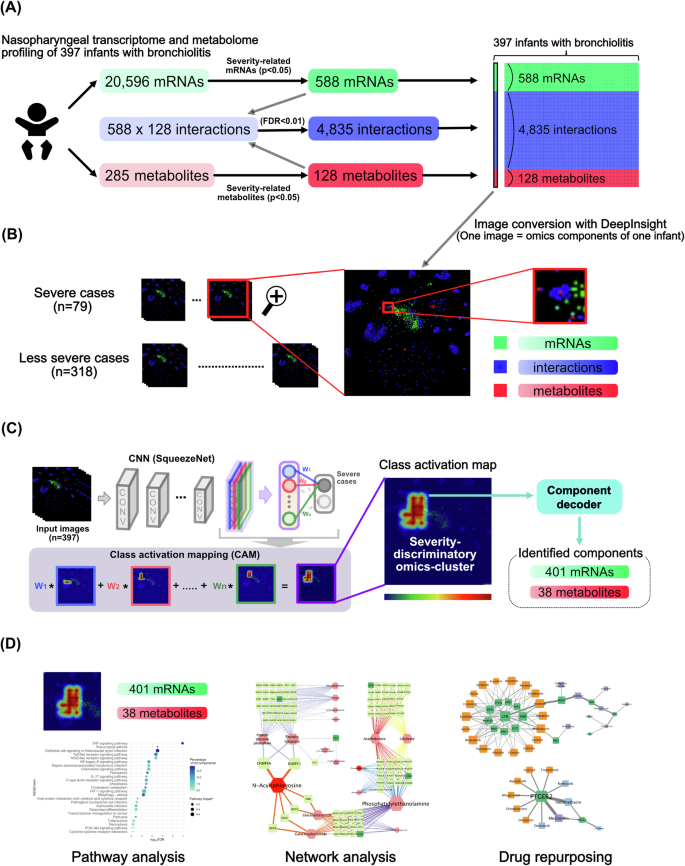 Integrated-omics analysis with explainable deep networks on pathobiology of infant bronchiolitis.