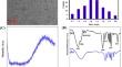 Fluorescent Nanoprobe Utilizing Tryptophan-Functionalized Silver Nanoclusters for Enhanced Gemcitabine Detection: Optimization and Application in Real Samples