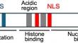 Recent advances in AML with mutated NPM1.