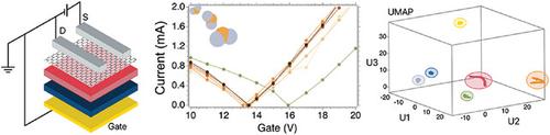 Physical Virtualization of a GFET for a Versatile, High‐Throughput, and Highly Discriminating Detection of Target Gas Molecules at Room Temperature