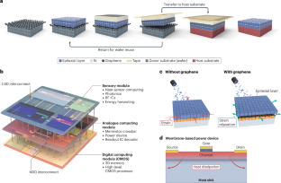 Remote epitaxy and freestanding wide bandgap semiconductor membrane technology