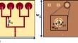 Design of Asymmetric Metamaterial 8-Circular Element Array Antenna for 5G MIMO Applications