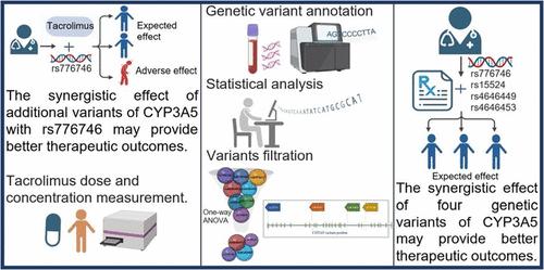 Synergistic Effect of Cytochrome P450 Family 3 Subfamily A Member 5 (CYP3A5) Genetic Variants in Tacrolimus Dose Determination in Indian Renal Transplant Patients