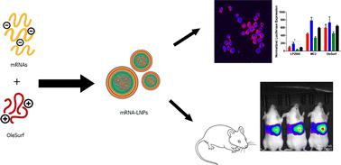 Synthesis and bioactivity of a novel surfactin-based lipopeptide for mRNA delivery.