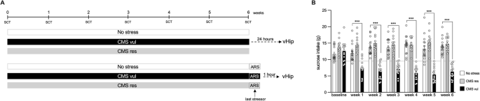 Exposure to an acute stress impaired the metabolic plasticity of resilient rats by enhancing fatty acid β-oxidation in the ventral hippocampus